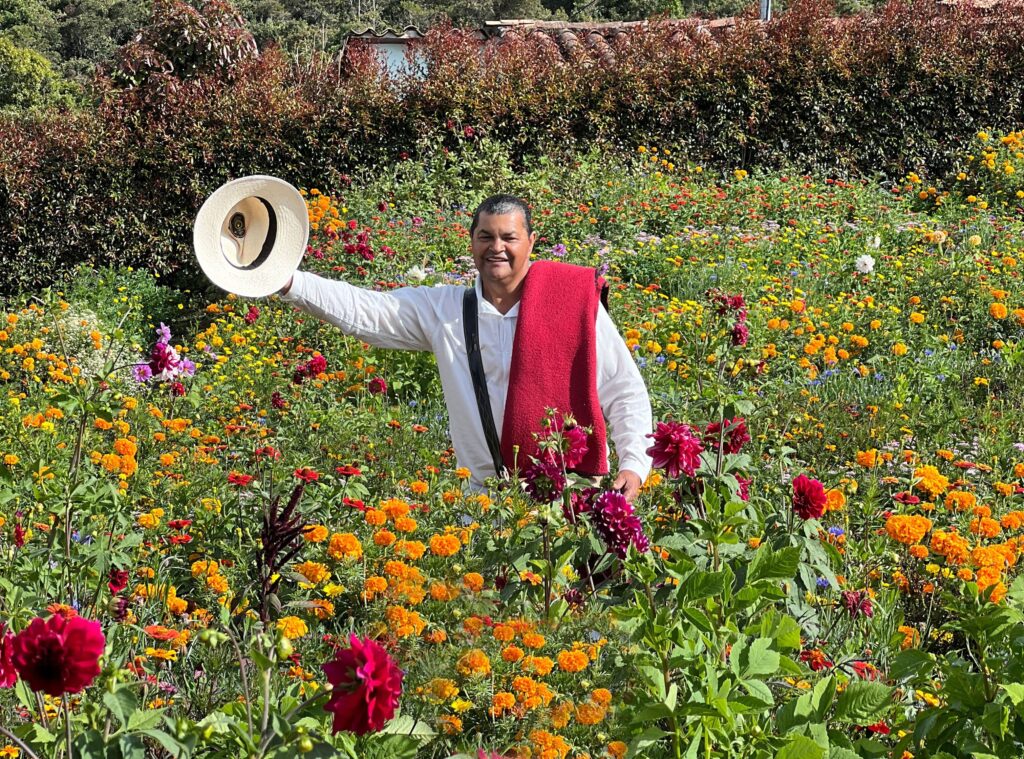 Campo de flores SE - Flores Vacaciones con sabor a tradición
