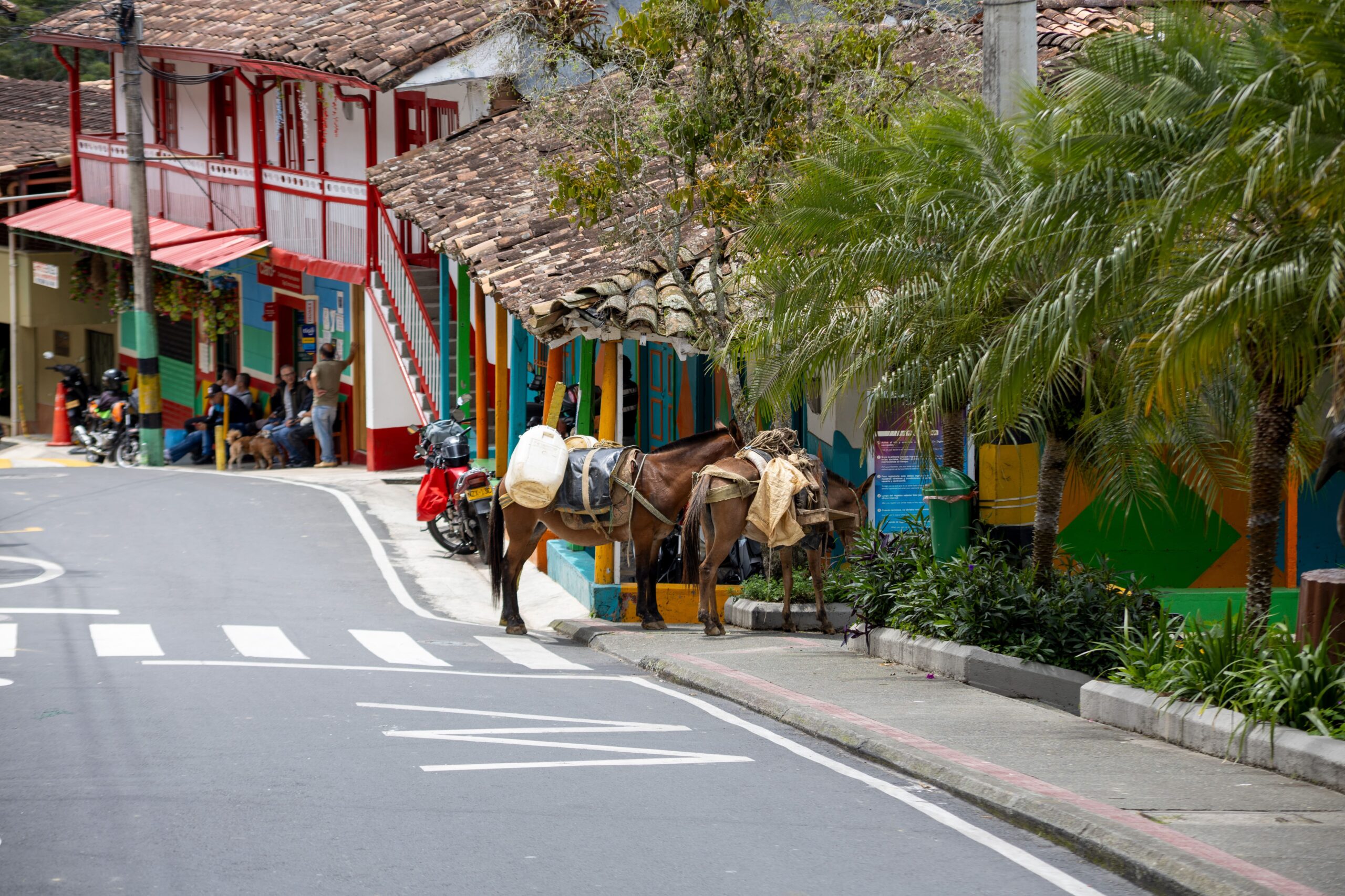 SSP - Centralidad Vacaciones con sabor a tradición