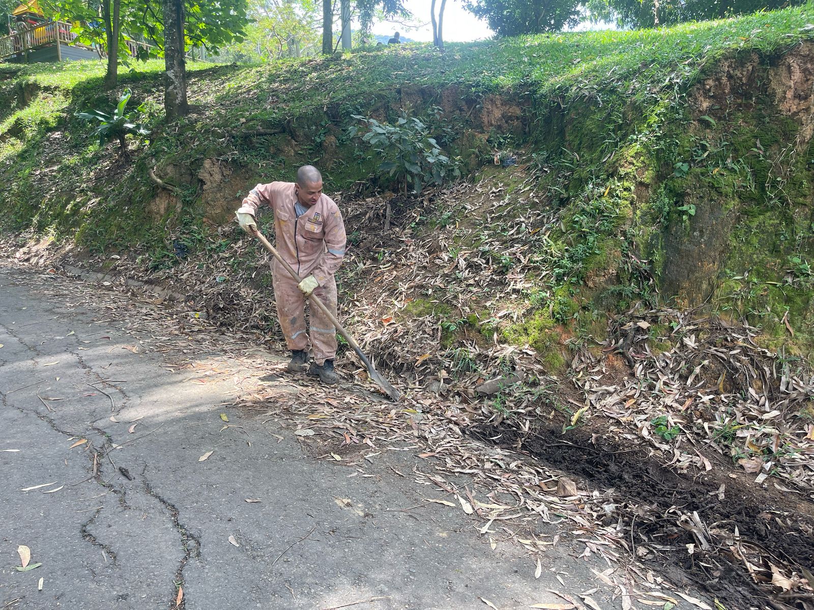 intervenciones de limpieza y ornato en los cinco corregimientos (1)