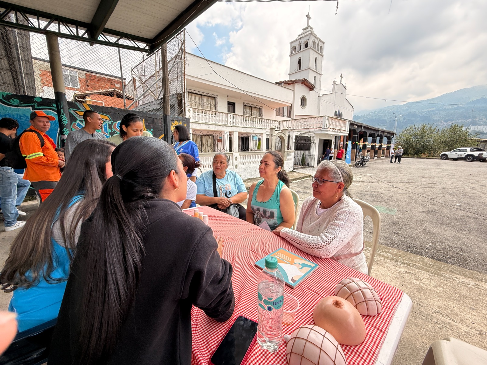 intervenciones de limpieza y ornato en los cinco corregimientos (1)