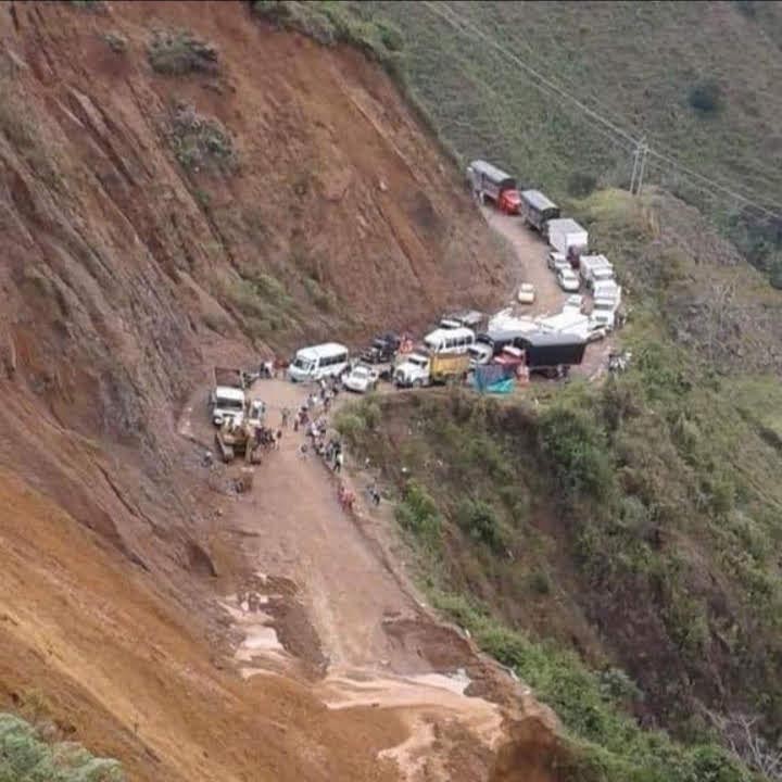 Imagen Dos hermanos “repetidos”, con una ruta que los une en Terminales Medellín (14)