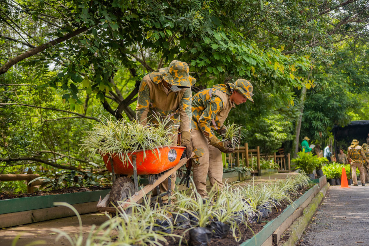 Imagen Medellín expansión de sus corredores verdes (4)