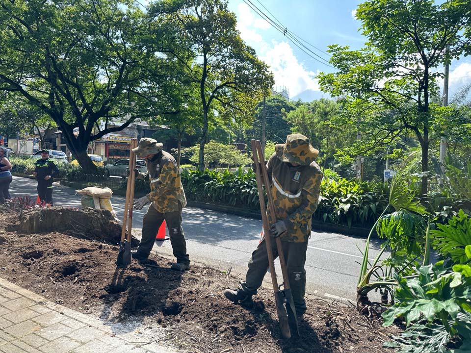 Imagen Medellín le apuesta a un Poblado más cultural, renovado, verde y seguro (1)