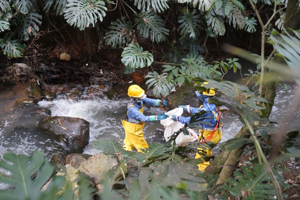 Imagen Medellín le apuesta a un Poblado más cultural, renovado, verde y seguro (1)