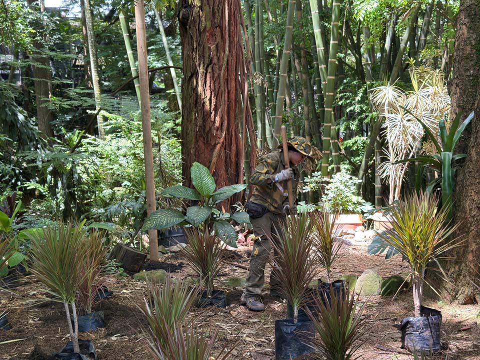 Imagen Medellín le apuesta a un Poblado más cultural, renovado, verde y seguro (1)