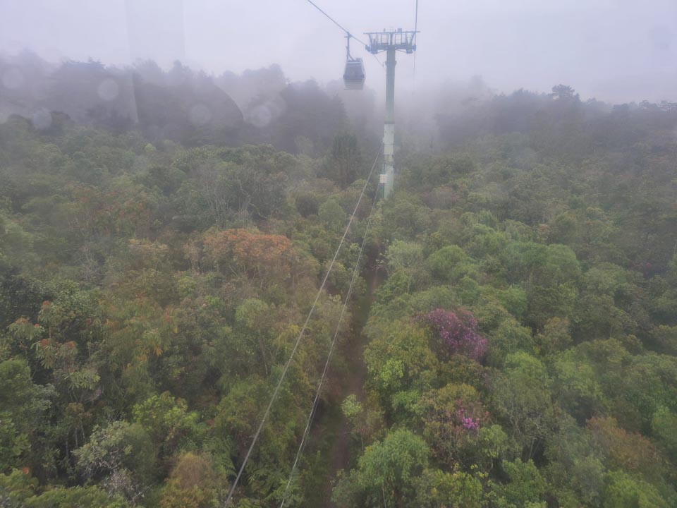 Imagen Qué hay para hacer en Medellín ARVÍ 1