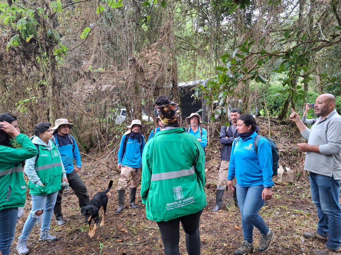 Imagen ecosistemas estratégicos en Medellín (1)