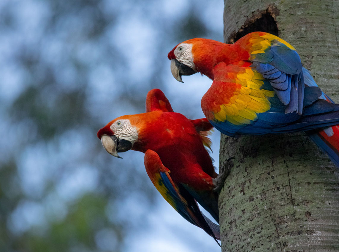 Imagen ecosistemas estratégicos en Medellín (3)
