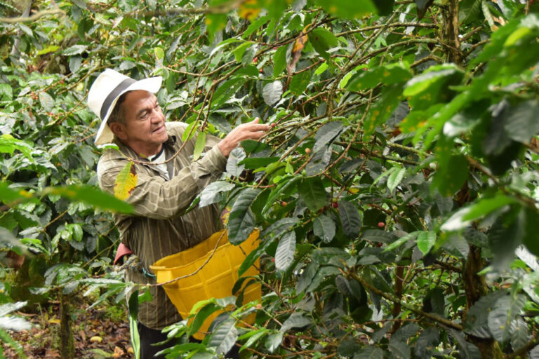 Imagen productores agropecuarios en los corregimientos (3)