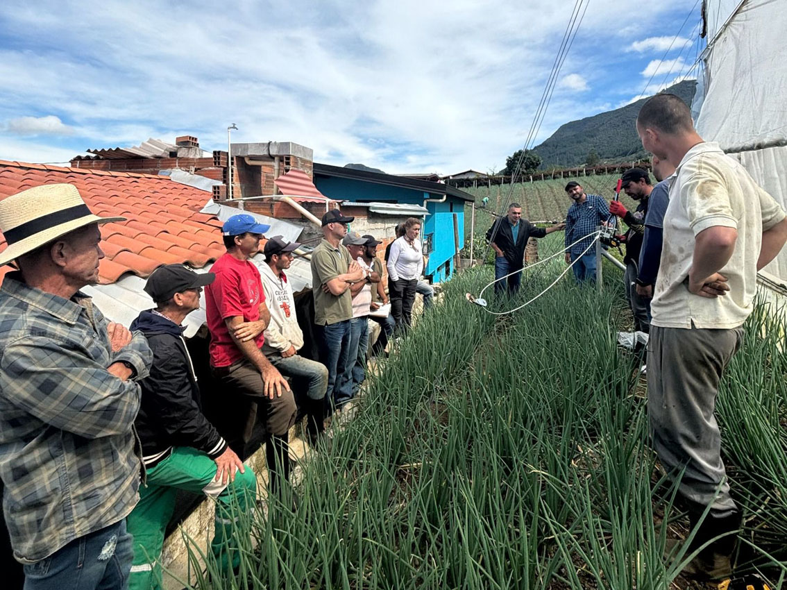 Corregimientos Imagen productores agropecuarios en los corregimientos (5)