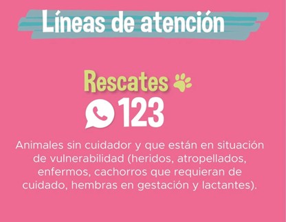 Línea de atención la Perla