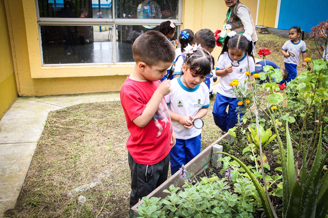 Imagen Niñas y niños de Buen Comienzo se convierten en guardianes (2)