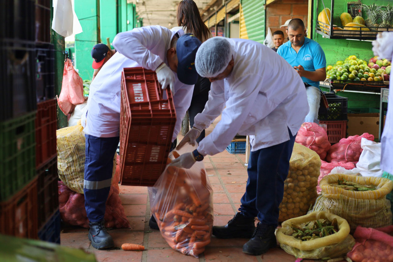 Imagen alimentos recuperados en las plazas de mercado llegan a hogares de Medellín (4)