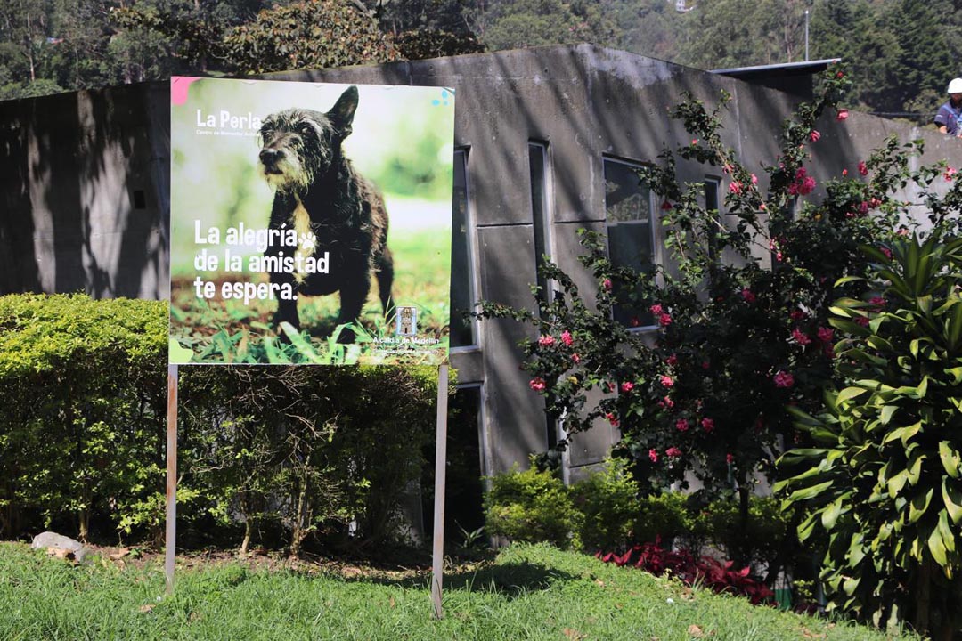 Imagen de La Perla Medellín (5)