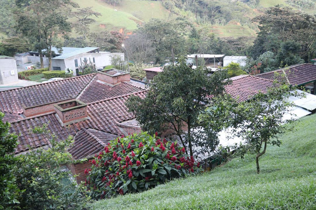 Imagen de La Perla Medellín (5)