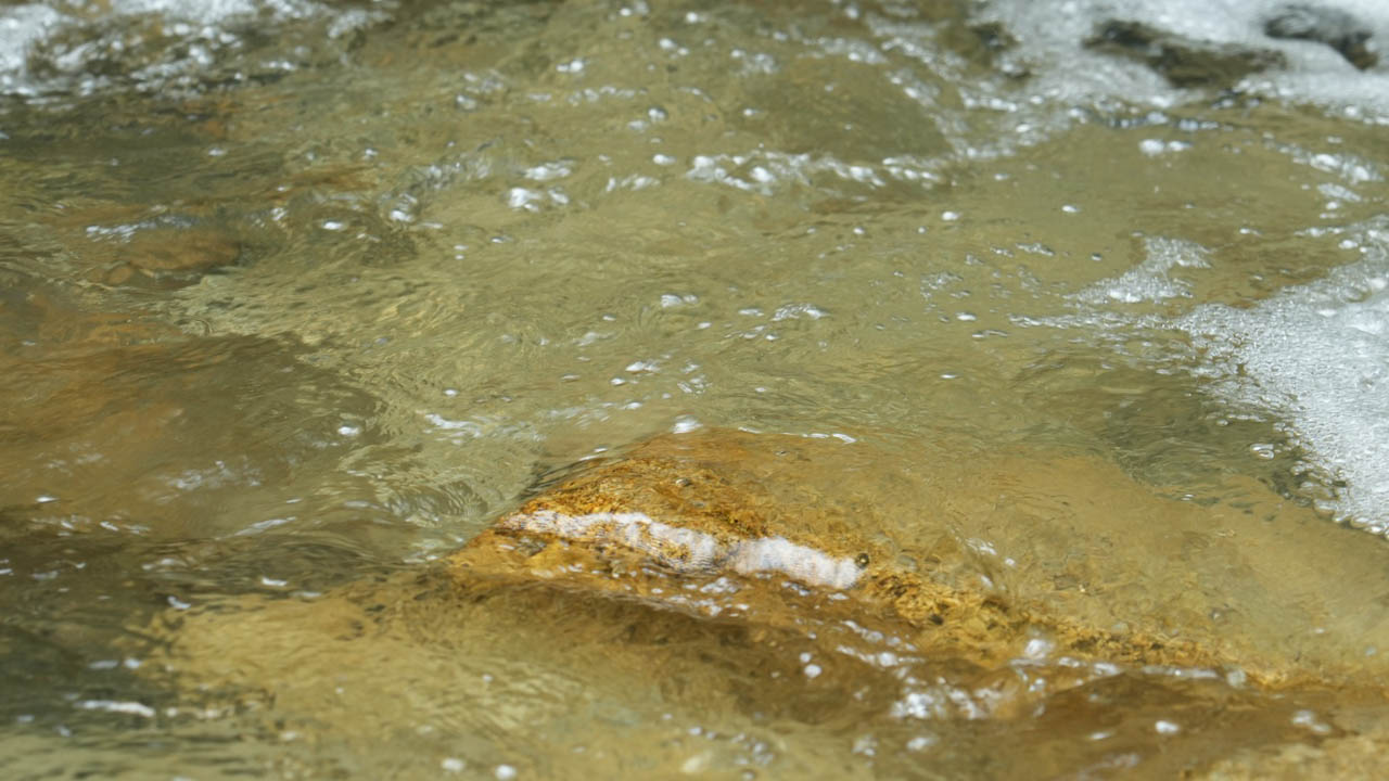 Imagen de agua de río