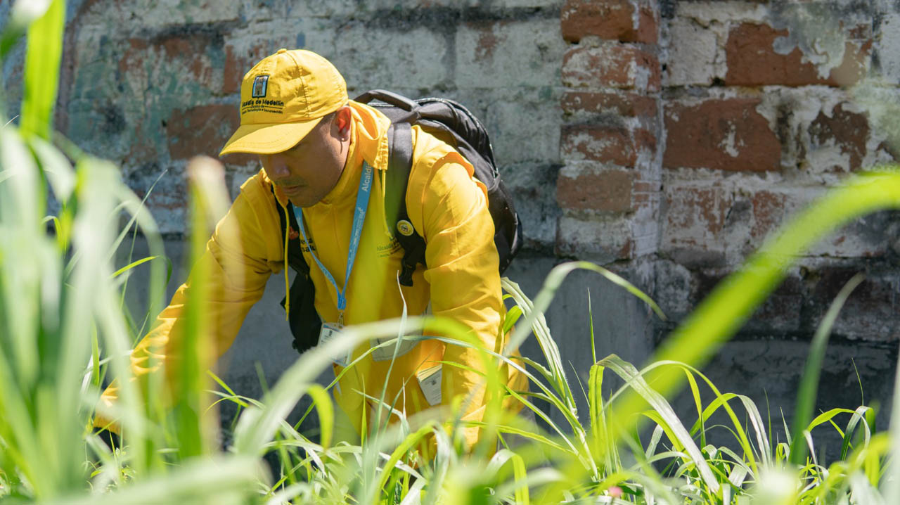 Imagen de funcionario en zona verde