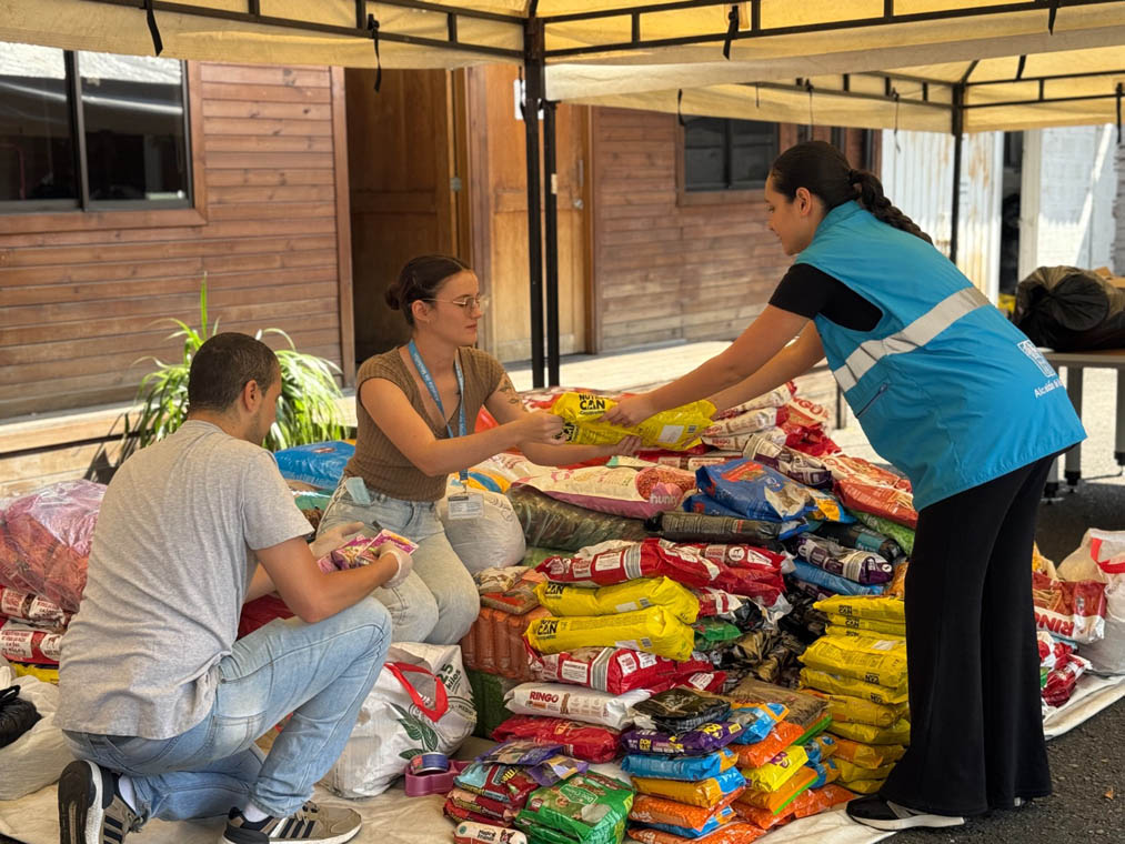 Imagen de funcionarios organizando donaciones para damnificados por lluvias