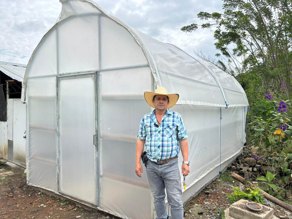 Imagen de hombre en cultivo hidropónico
