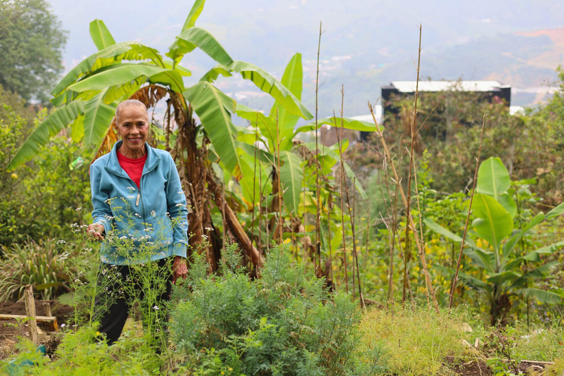 Imagen de mujer caminando entre sembrados