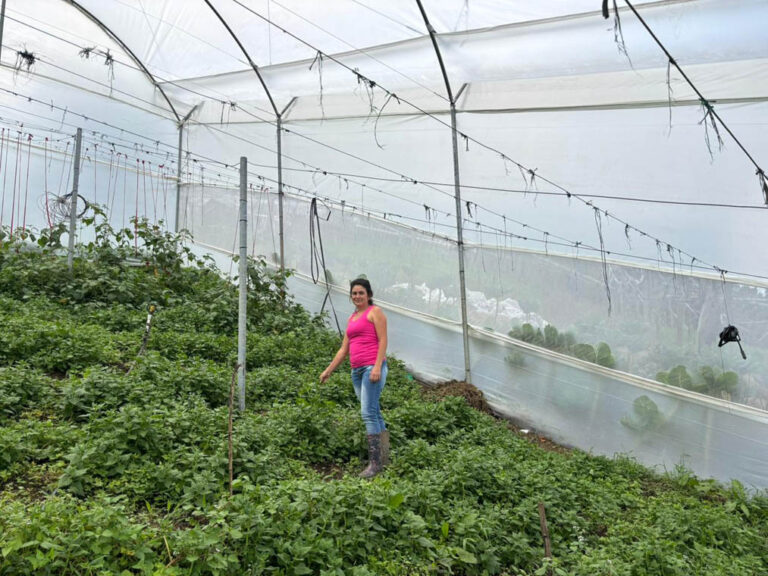 Imagen de mujer en cultivo hidropónico
