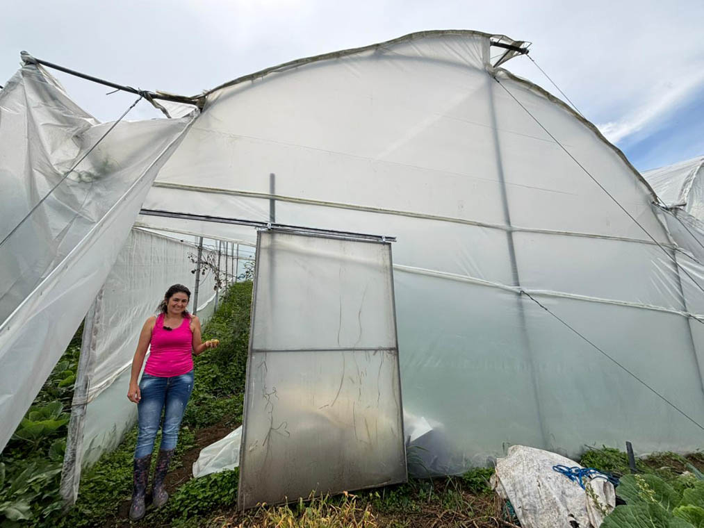 Imagen de mujer en cultivos hidropónicos