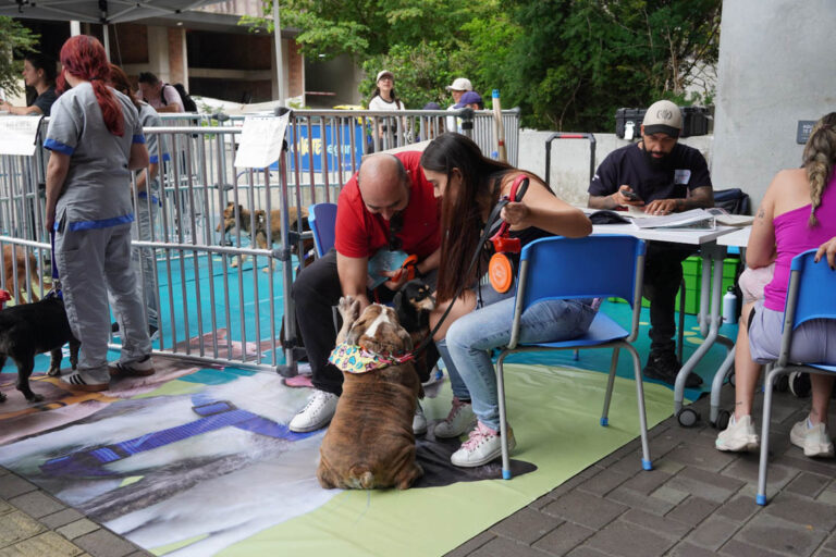 Imagen de pareja de ciudadanos con un perro