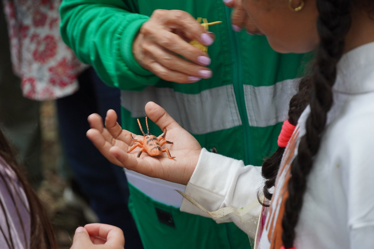 Imagen educación ambiental (3)