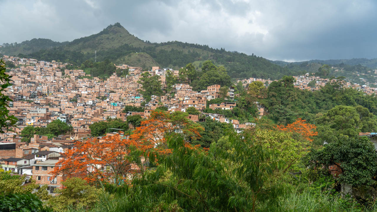 Imagen panorámica de árbol cambulo floreciendo