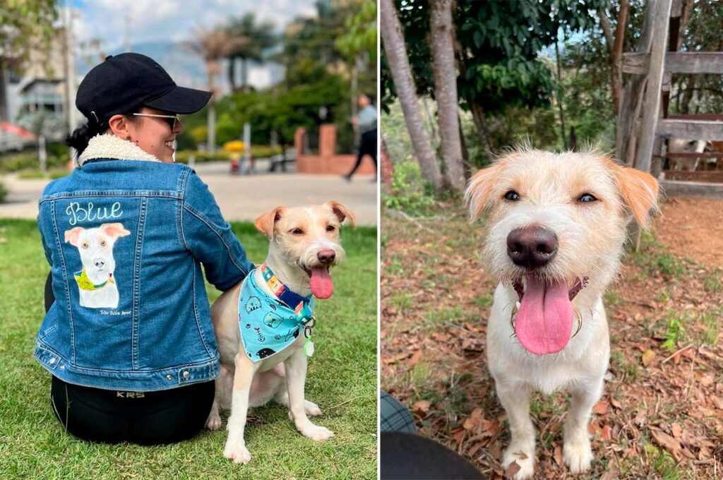 Imagen cuidado de mascotas en Medellín