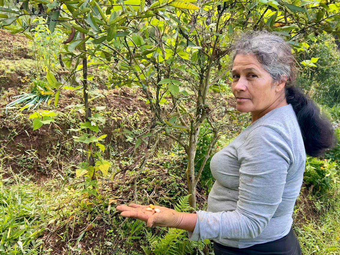 Ecohuertas en Medellín Ecohuertas en Medellín