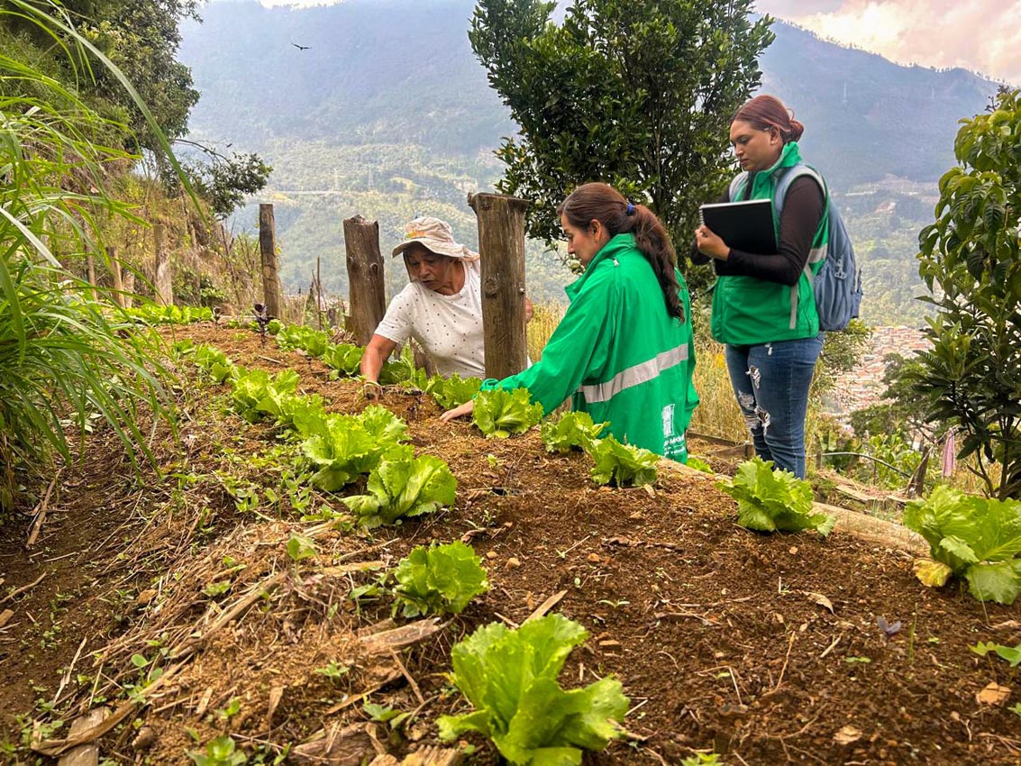 Ecohuertas en Medellín Ecohuertas en Medellín