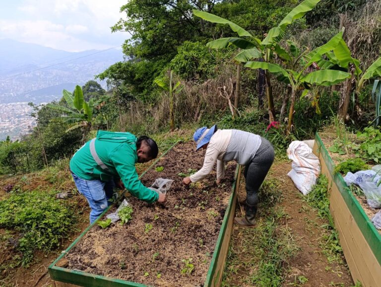 Ecohuertas en Medellín
