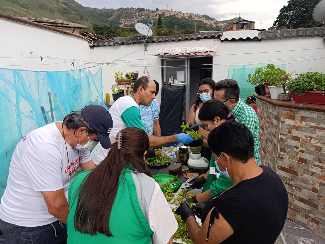 Ecohuertas en Medellín Ecohuertas en Medellín