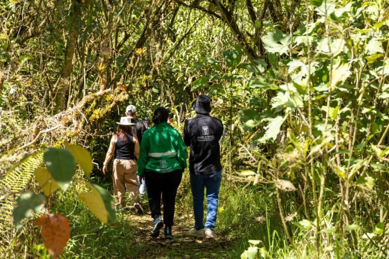 FOTO GUARDABOSQUES SSP