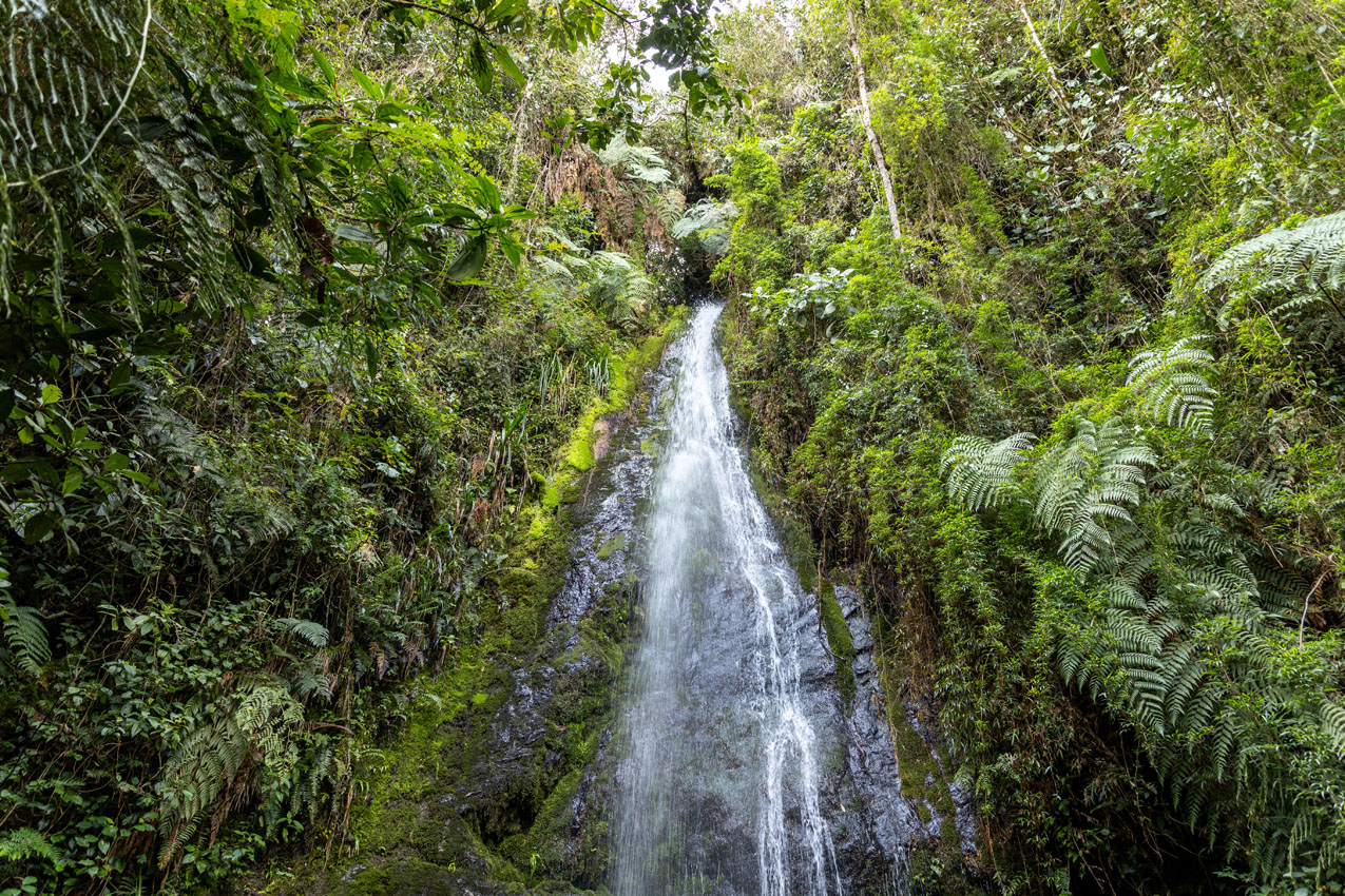 FOTO RESERVA LA FRISOLA SSP