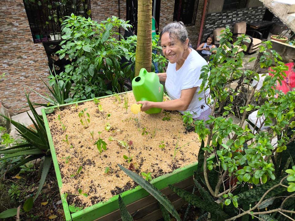 Imagen $16.000 millones en educación ambiental con Presupuesto Participativo y benefició a más de 62.000 personas (1)