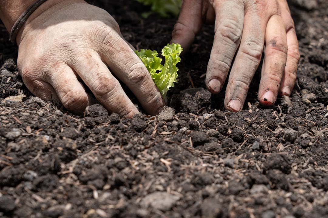 Imagen Laboratorios de Cultura Ciudadana (1)