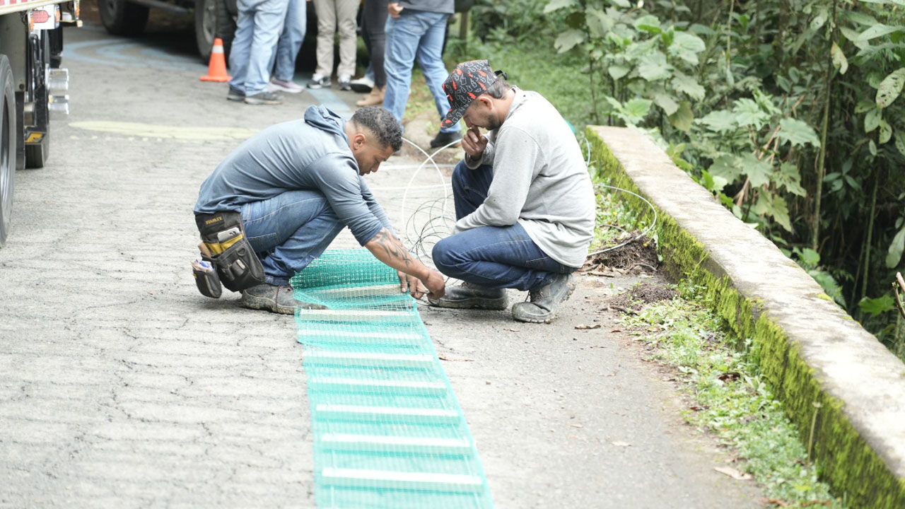 Imagen Nuevo paso para desplazamiento seguro de fauna en Medellín (2)