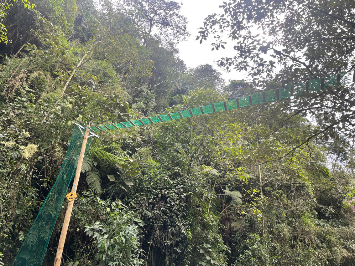 Imagen Nuevo paso para desplazamiento seguro de fauna en Medellín (5)