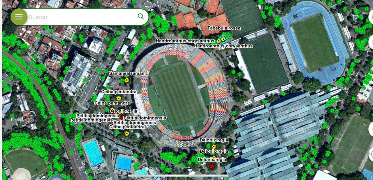 Imagen aplicación para consultar información de más de 490.000 árboles urbanos, incluso sin internet (1)