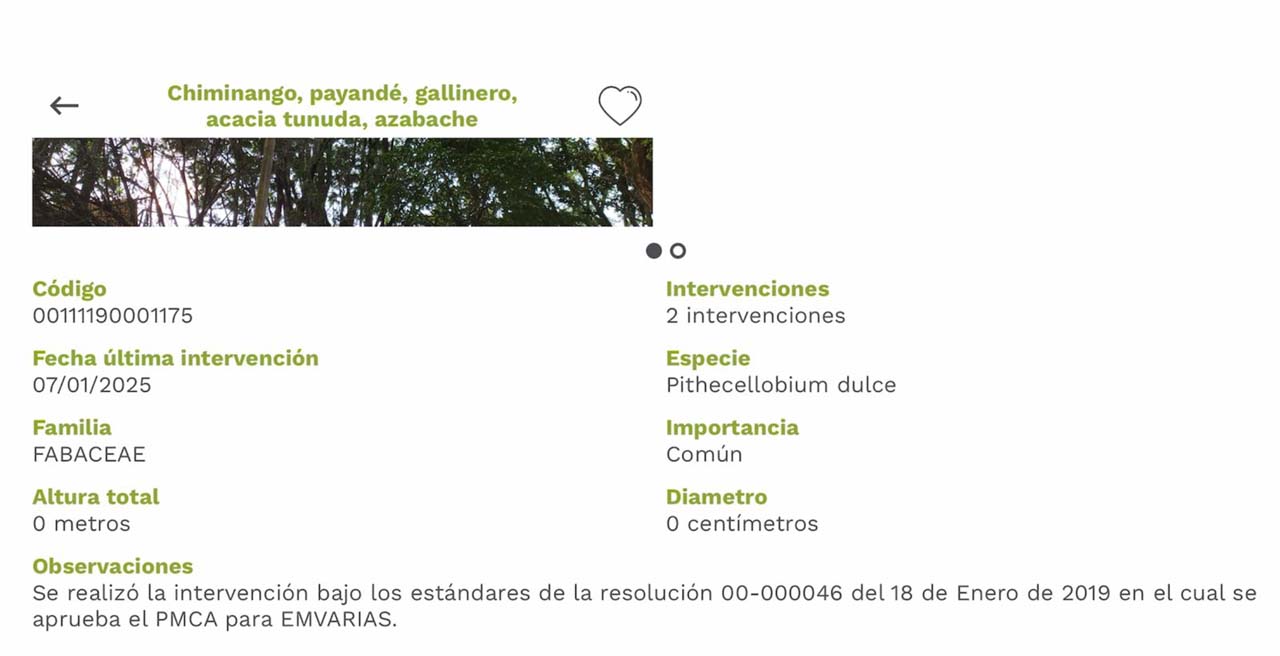 Imagen aplicación para consultar información de más de 490.000 árboles urbanos, incluso sin internet (1)