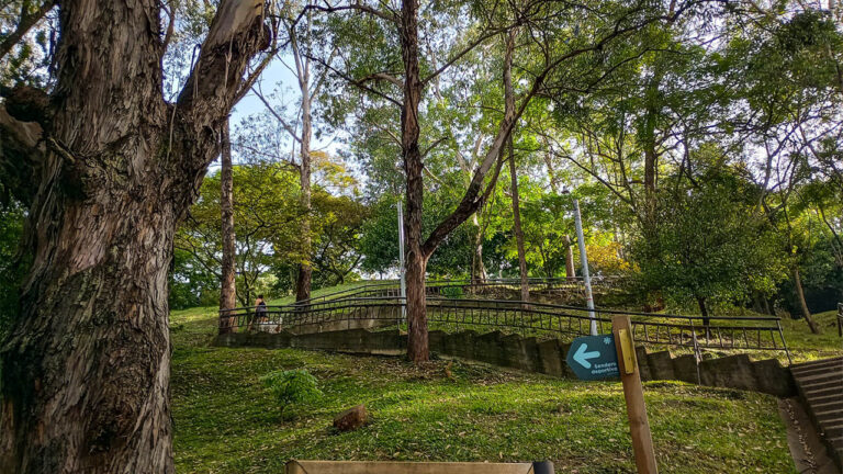 Imagen de zonas verdes en Cerro Nutibara