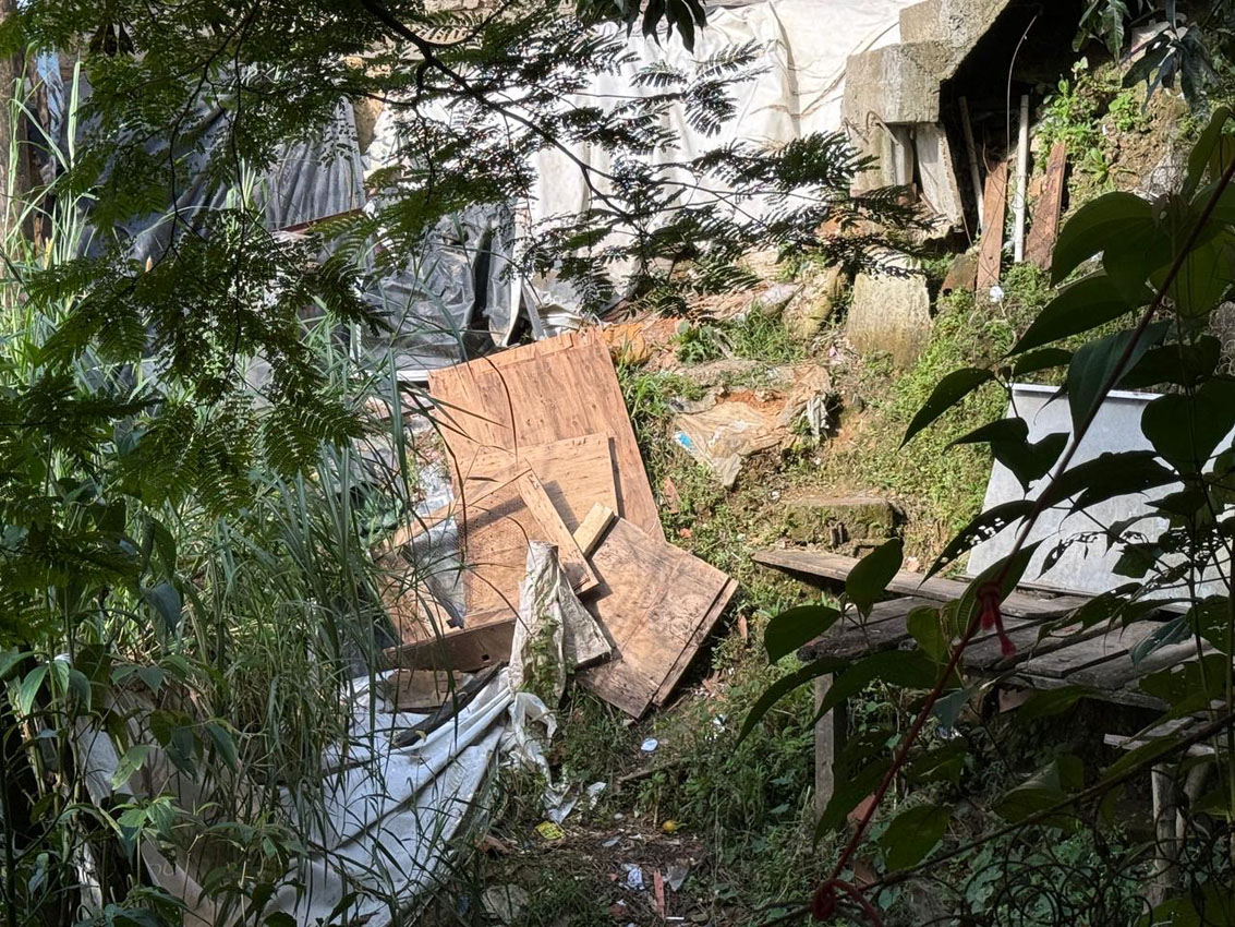 Imagen jornada de ornato y aseo en sector El Concejo, Altavista (3)