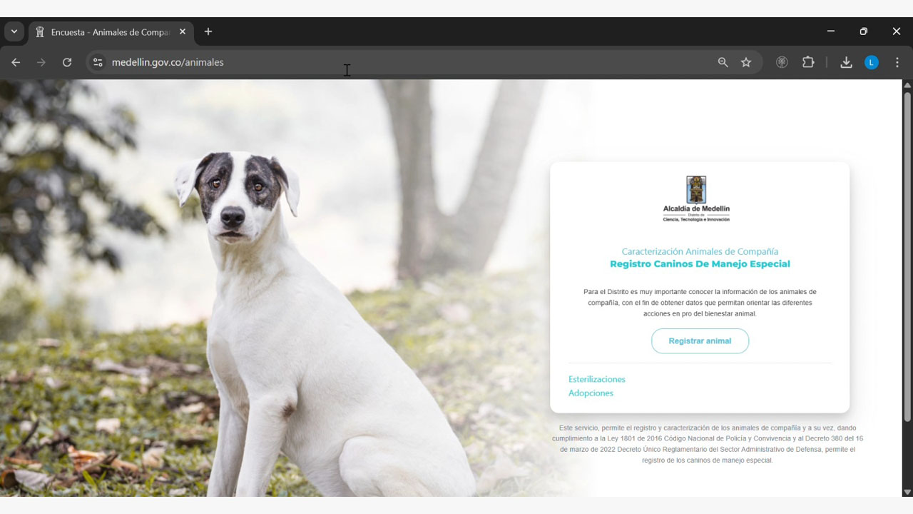 Imagen obligatoriedad del registro para perros de manejo especial (4)