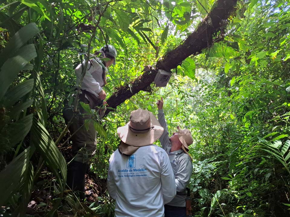 Imagen se han monitoreado más de 80 especies de fauna silvestre en Medellín (1)