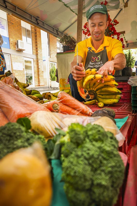 Rigoberto de Jesús Soto Grajales