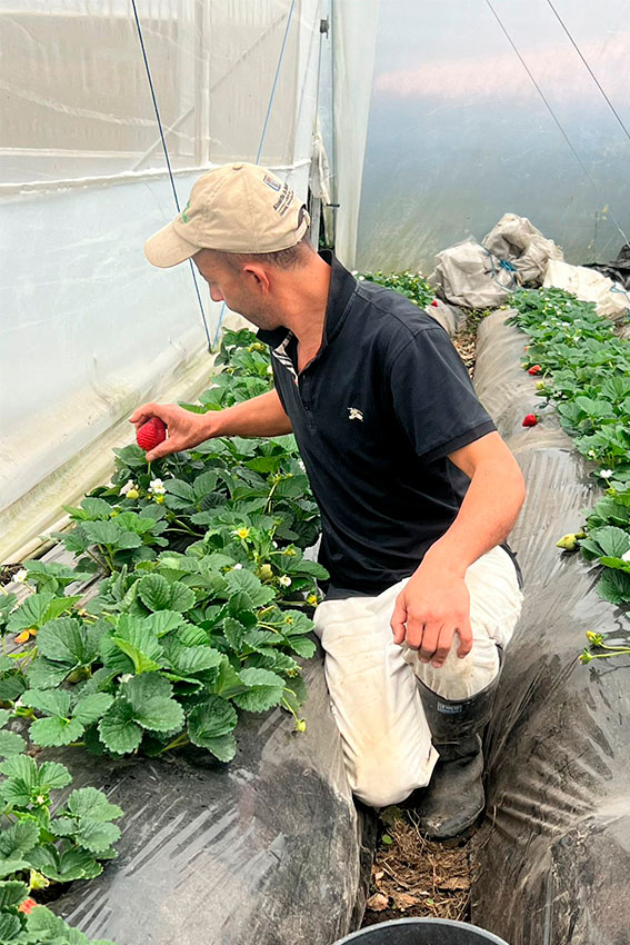 Rigoberto de Jesús Soto Grajales