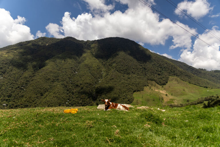 Foto principal Día de la tierra