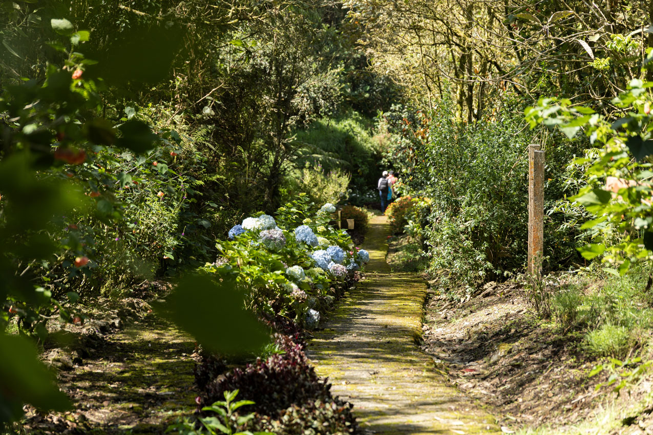 Imagen 3 Día de la tierra